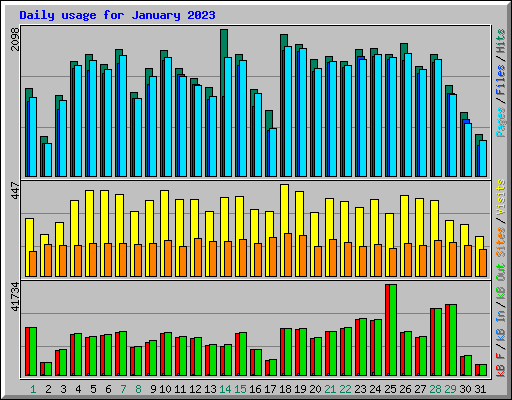 Daily usage for January 2023