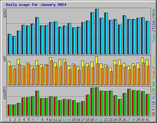 Daily usage for January 2024