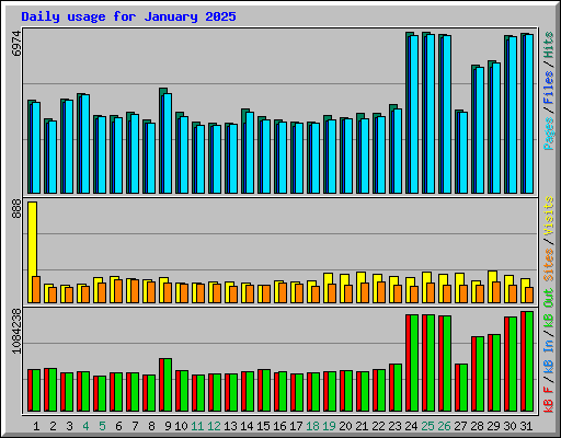 Daily usage for January 2025