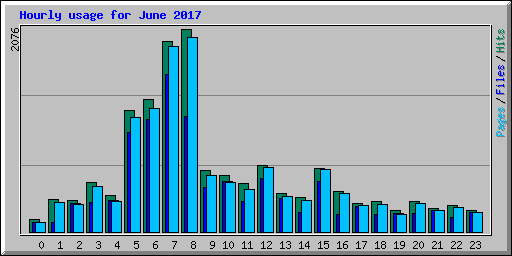 Hourly usage for June 2017