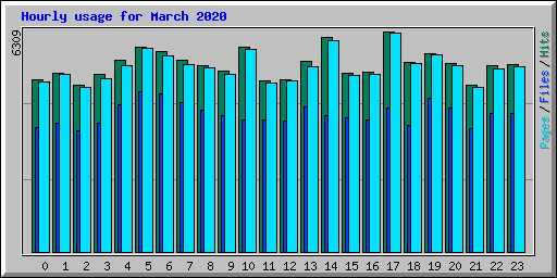 Hourly usage for March 2020