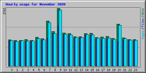 Hourly usage for November 2020