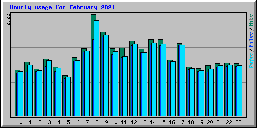 Hourly usage for February 2021