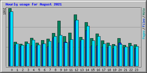 Hourly usage for August 2021