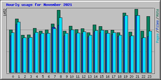 Hourly usage for November 2021