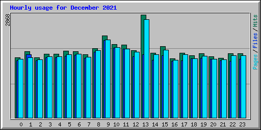 Hourly usage for December 2021