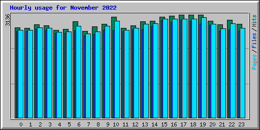 Hourly usage for November 2022