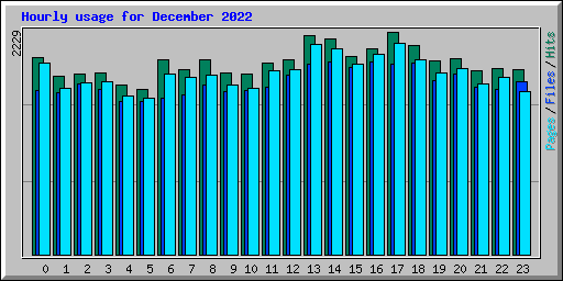 Hourly usage for December 2022
