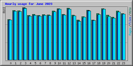 Hourly usage for June 2023