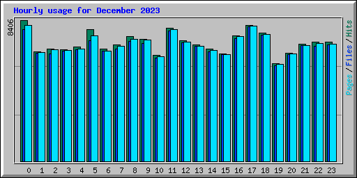 Hourly usage for December 2023