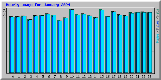 Hourly usage for January 2024