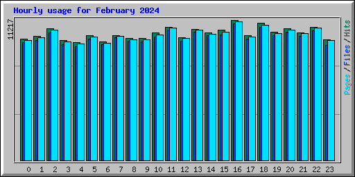 Hourly usage for February 2024
