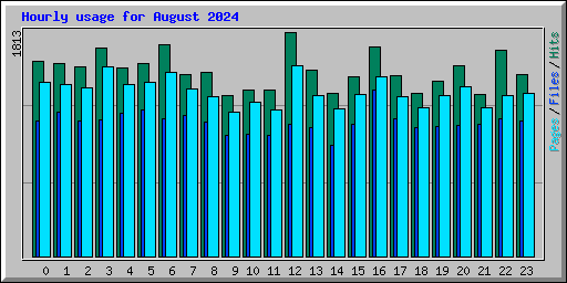 Hourly usage for August 2024