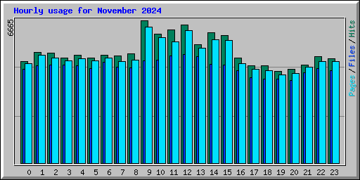Hourly usage for November 2024