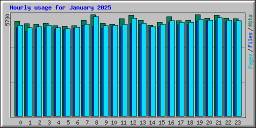 Hourly usage for January 2025
