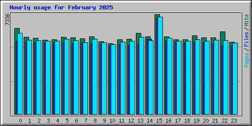 Hourly usage for February 2025