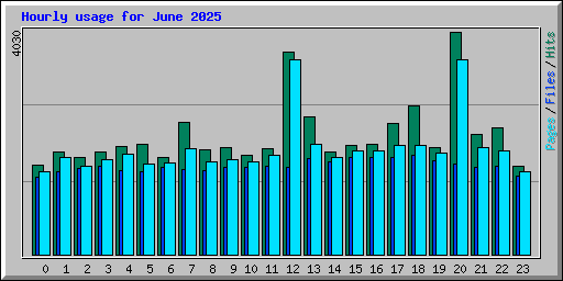 Hourly usage for June 2025