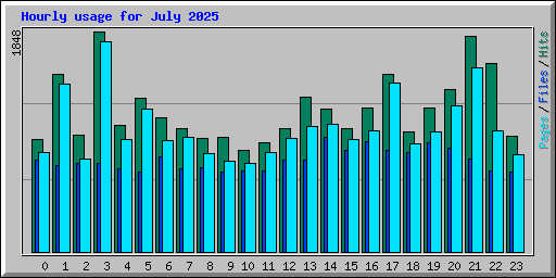 Hourly usage for July 2025