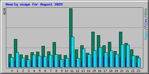 Hourly usage for August 2025