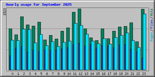 Hourly usage for September 2025
