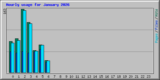 Hourly usage for January 2026