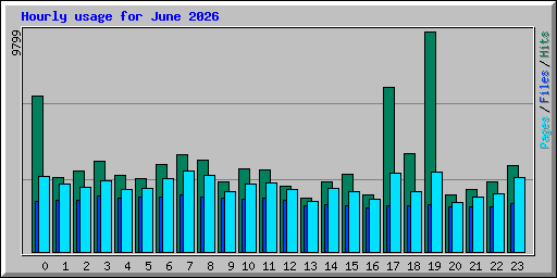 Hourly usage for June 2026