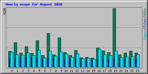 Hourly usage for August 2026
